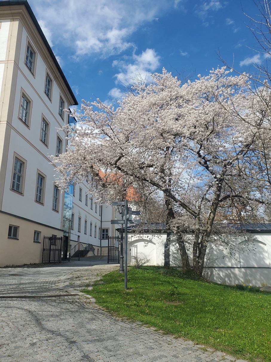 Kultururlaub Irsee für Genießer